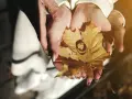 Dłonie trzymają jesienny liść z obrączkami. To symbol 22 rocznicy ślubu, która przypada na jesień.