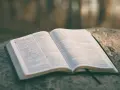 Otwarta Biblia na kamieniu, strony z tekstem, widoczny psalm 33:1. Może to być psalm ślubny.