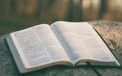 Otwarta Biblia na kamieniu, strony z tekstem, widoczny psalm 33:1. Może to być psalm ślubny.