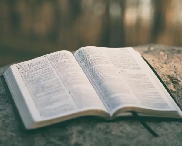 Otwarta Biblia na kamieniu, strony z tekstem, widoczny psalm 33:1. Może to być psalm ślubny.